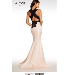 Dress evening gown